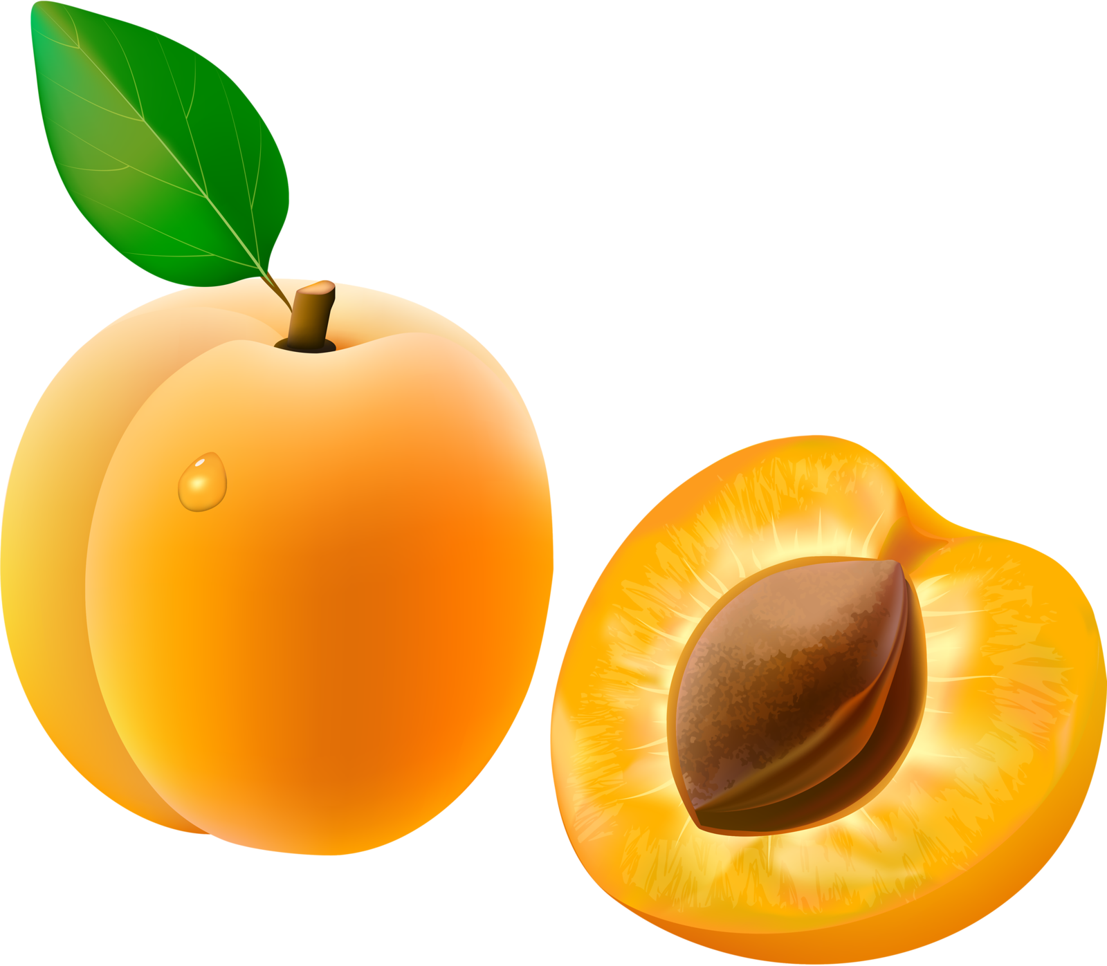 Fresh Apricotand Halfwith Pit PNG Image