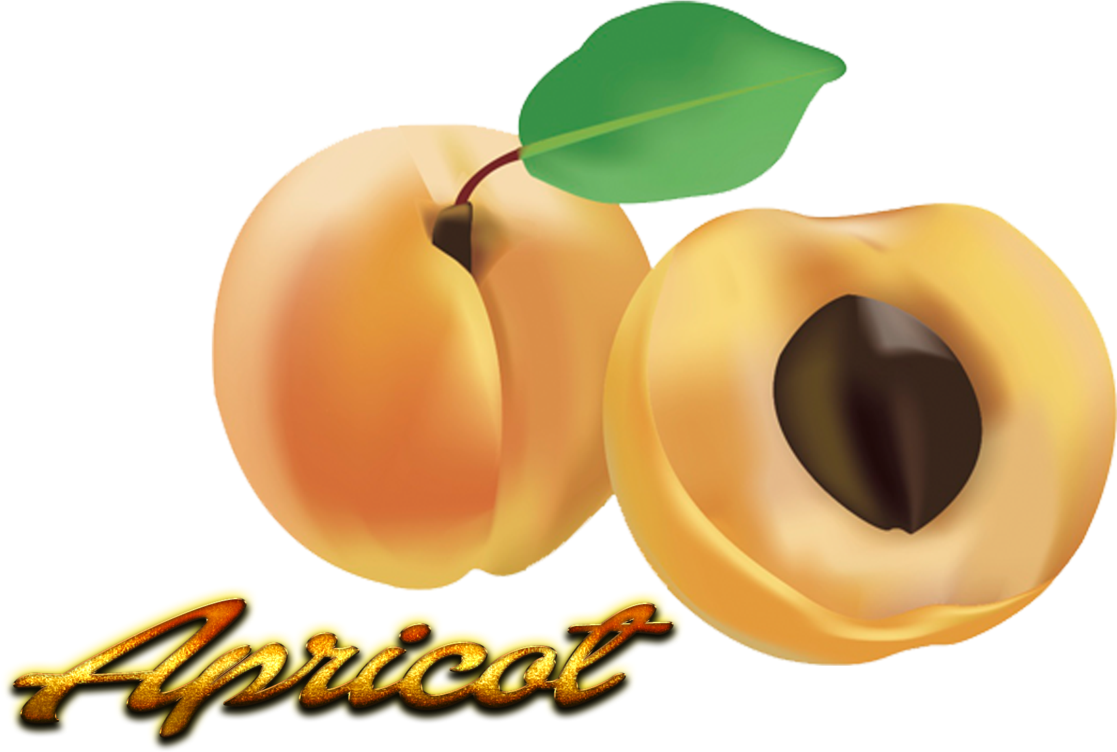 Fresh Apricotand Halfwith Seed PNG Image