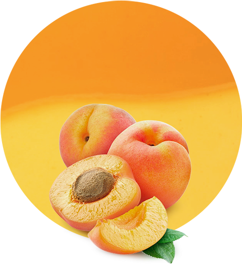 Fresh Apricots Display PNG Image