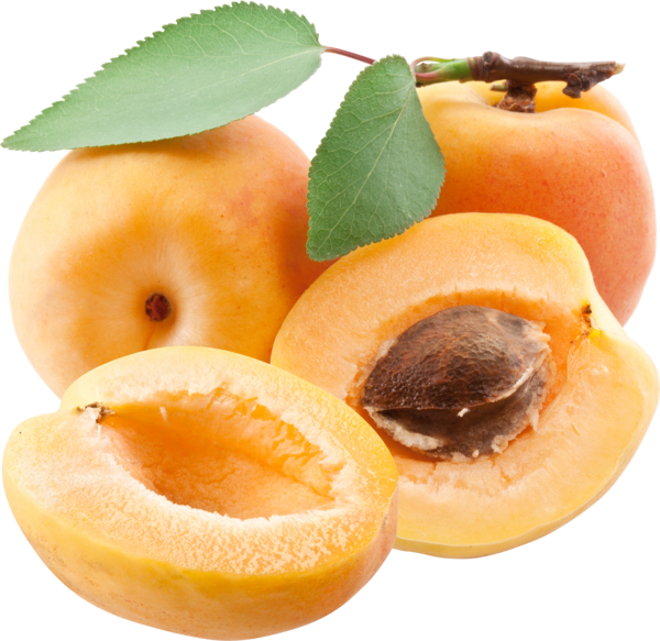 Fresh Apricots Display PNG Image