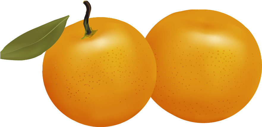 Fresh Apricots Illustration PNG Image