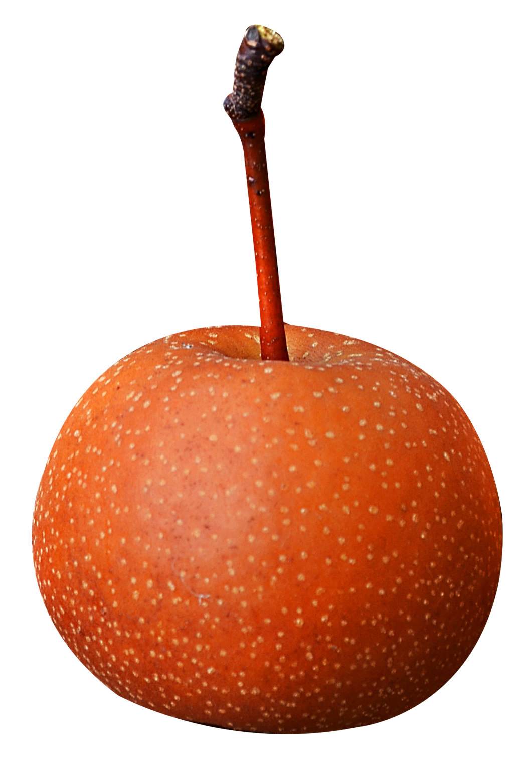 Fresh Asian Pear Fruit PNG Image