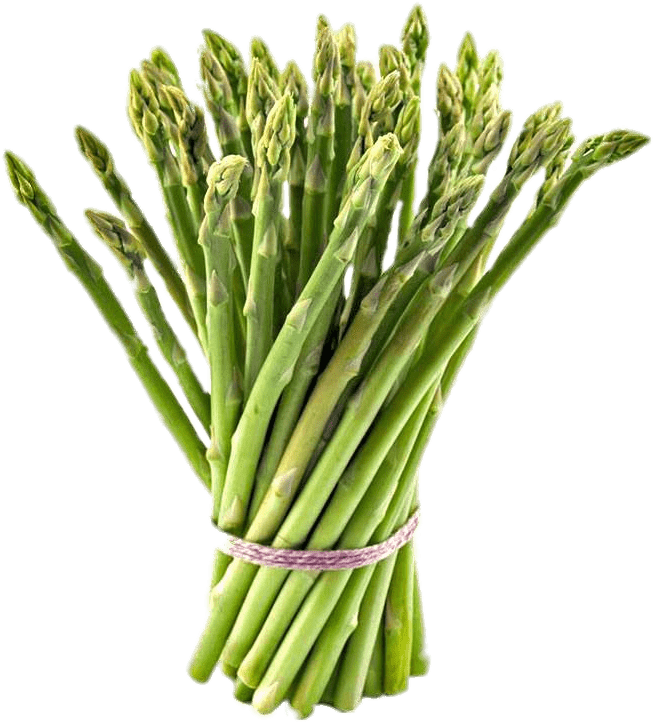 Fresh Asparagus Bunch.png PNG Image