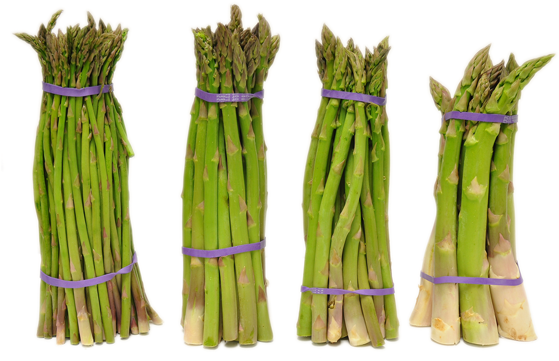 Fresh Asparagus Bunches.png PNG Image