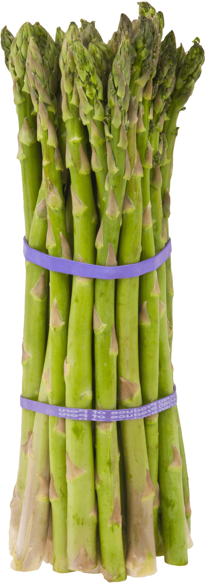 Fresh Asparagus Bundle.png PNG Image