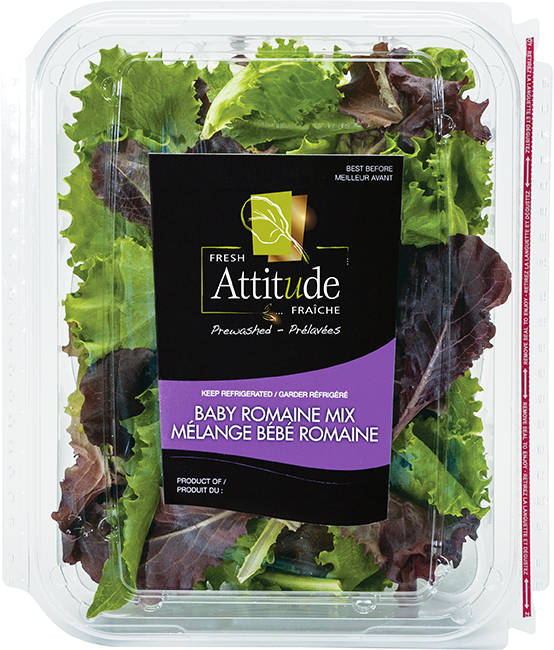 Fresh Attitude Baby Romaine Mix Packaging PNG Image