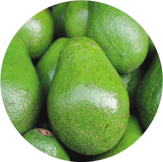 Fresh Avocado Pile Closeup.jpg PNG Image