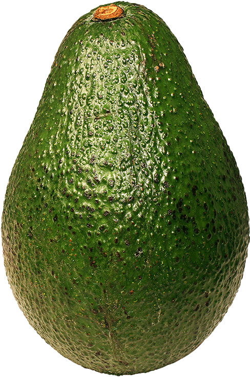 Fresh Avocado Single Fruit PNG Image