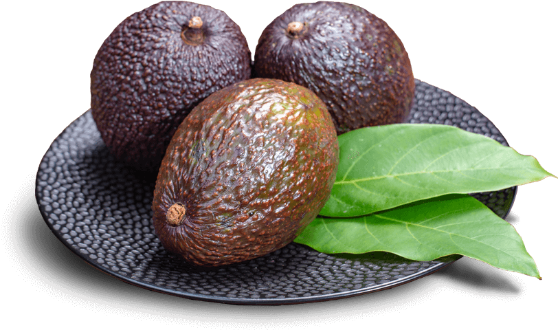 Fresh Avocadoson Plate PNG Image