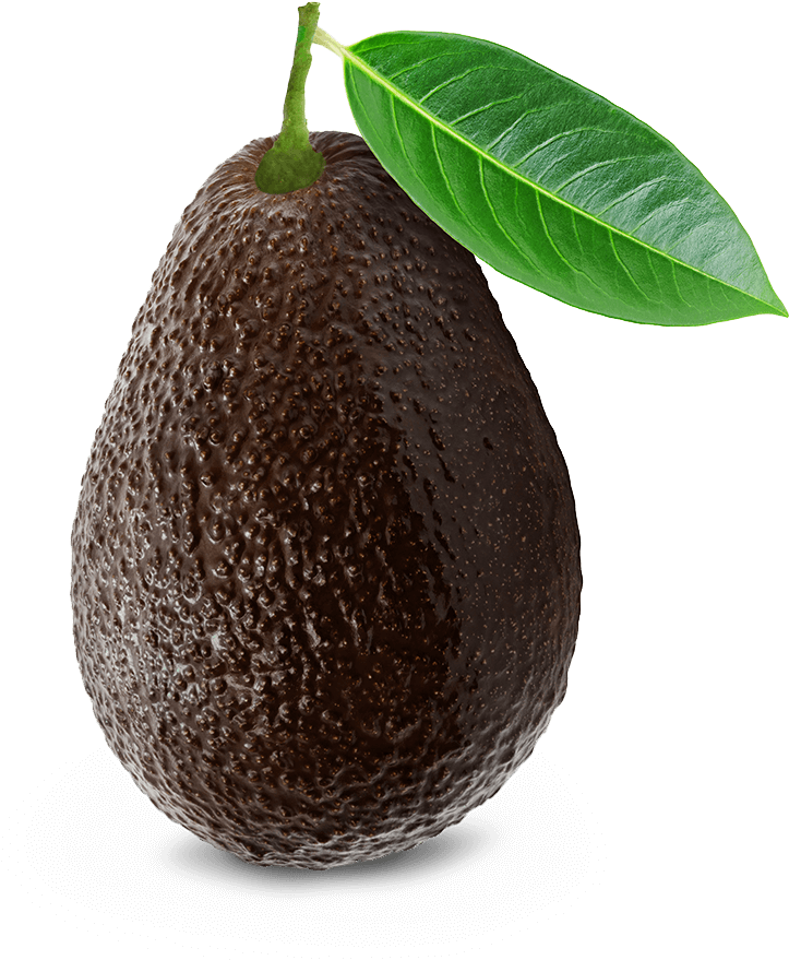 Fresh Avocadowith Leaf PNG Image