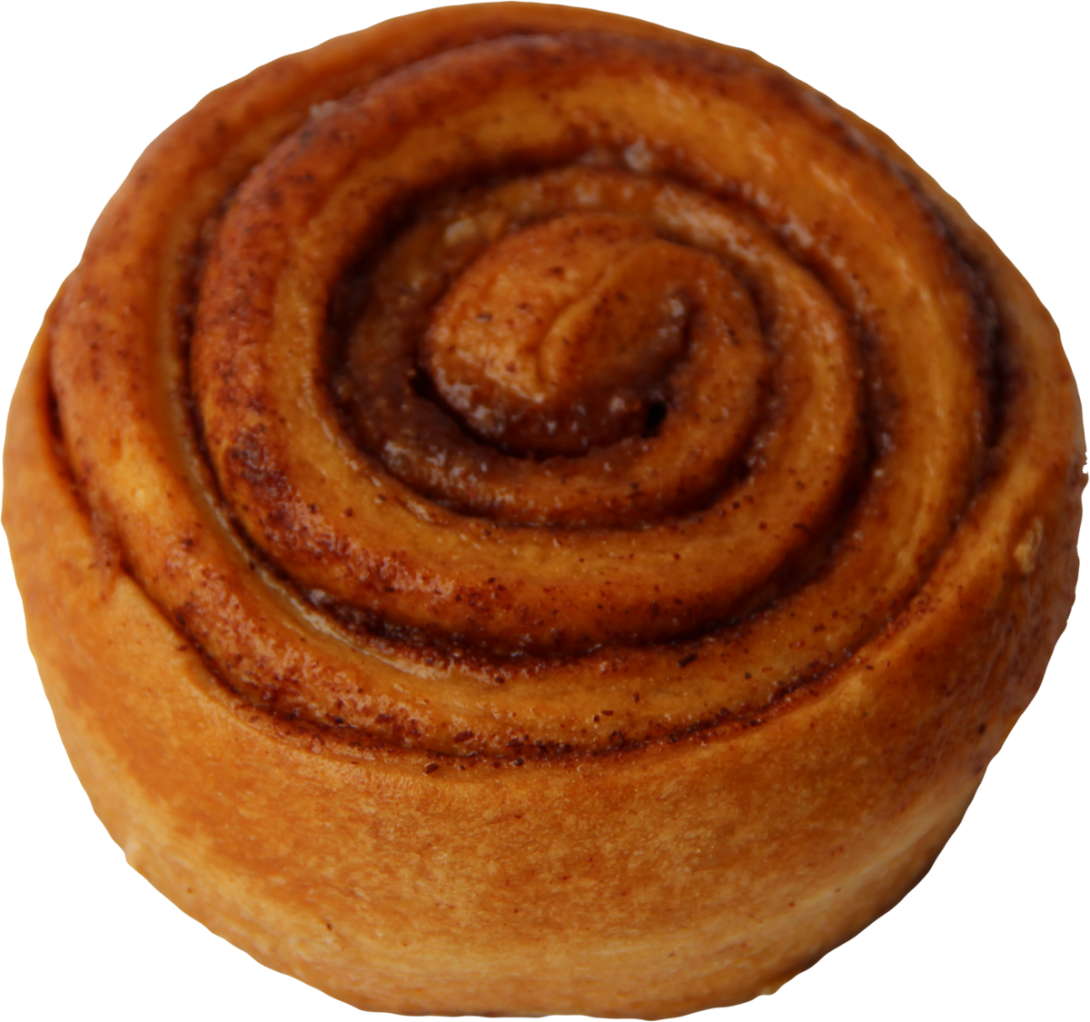 Fresh Baked Cinnamon Roll Isolated PNG Image