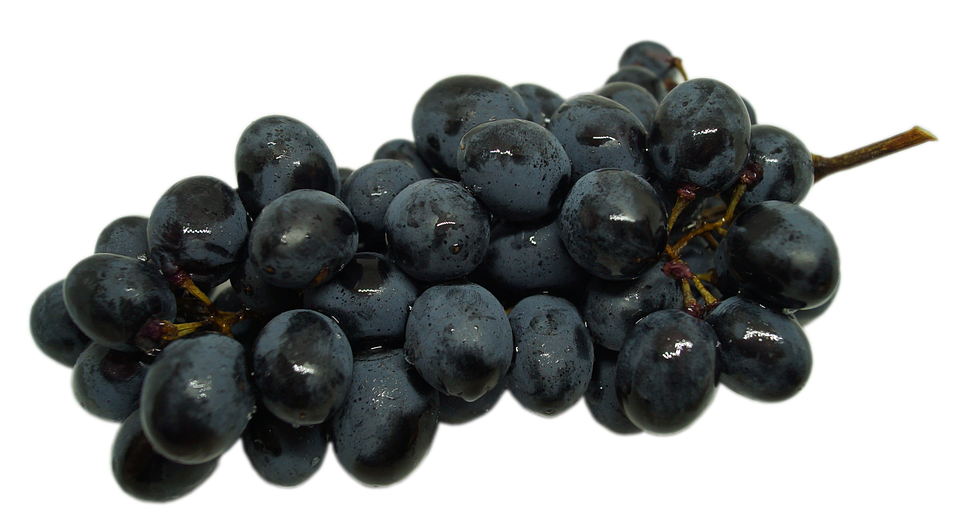 Fresh Black Grapes Cluster.png PNG Image