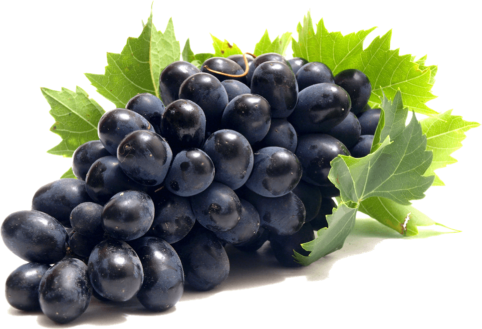 Fresh Black Grapes Cluster PNG Image