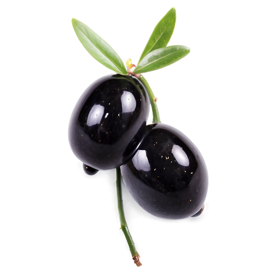 Fresh Black Olives Png Evu PNG Image