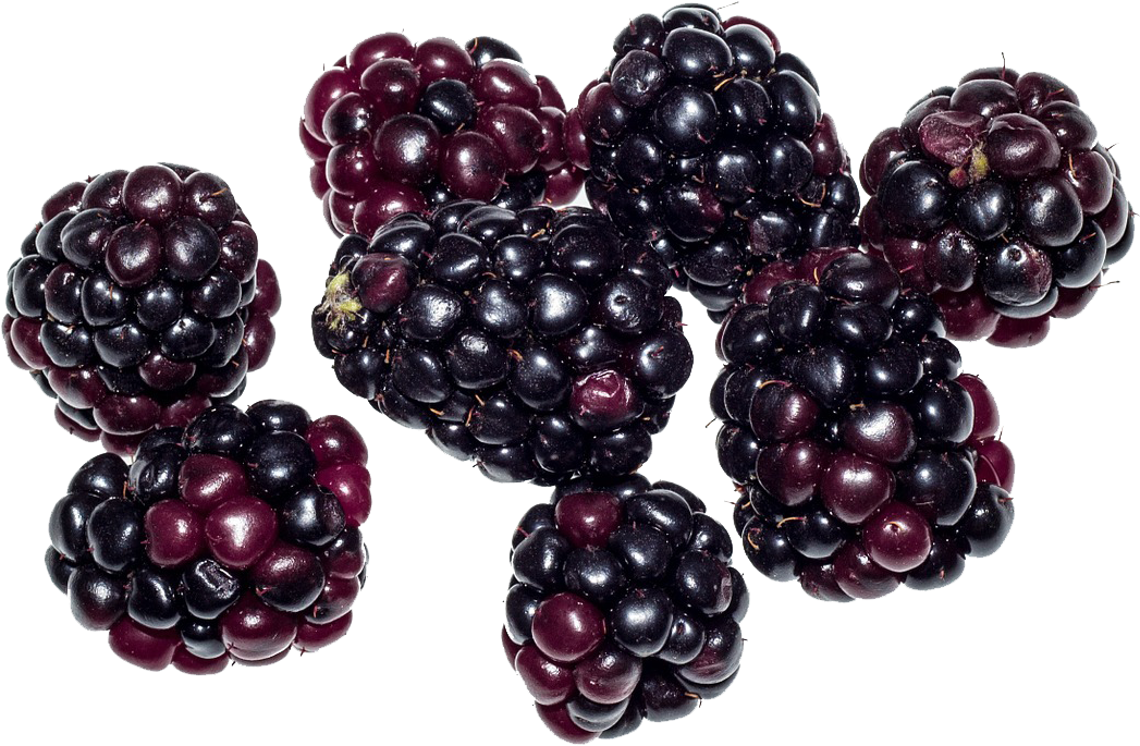 Fresh Blackberries Cluster.png PNG Image