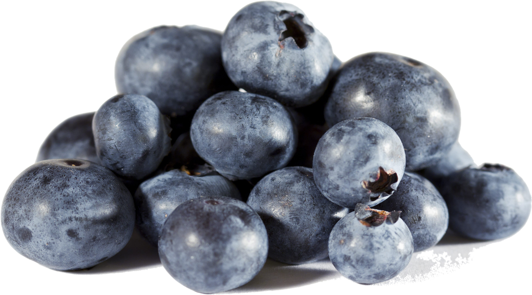 Fresh Blueberries Isolated Background PNG Image