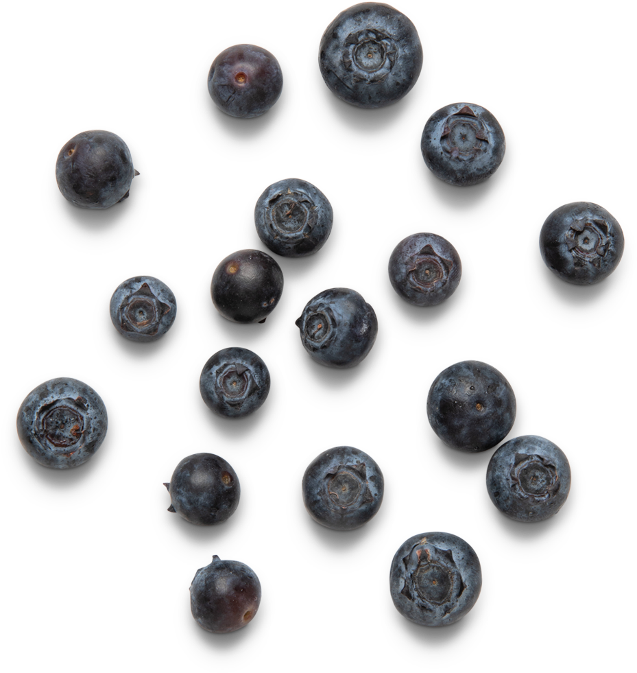 Fresh Blueberries Top View PNG Image