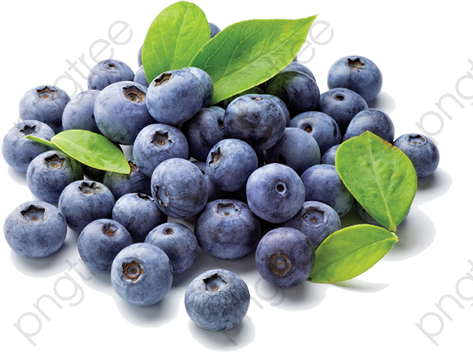 Fresh Blueberries With Leaves.png PNG Image