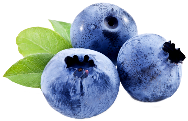 Fresh Blueberries With Leaves Skin Care Ingredients PNG Image