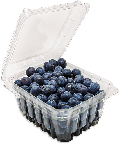 Fresh Blueberriesin Plastic Container PNG Image