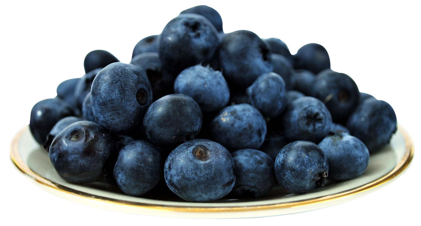 Fresh Blueberrieson Plate PNG Image