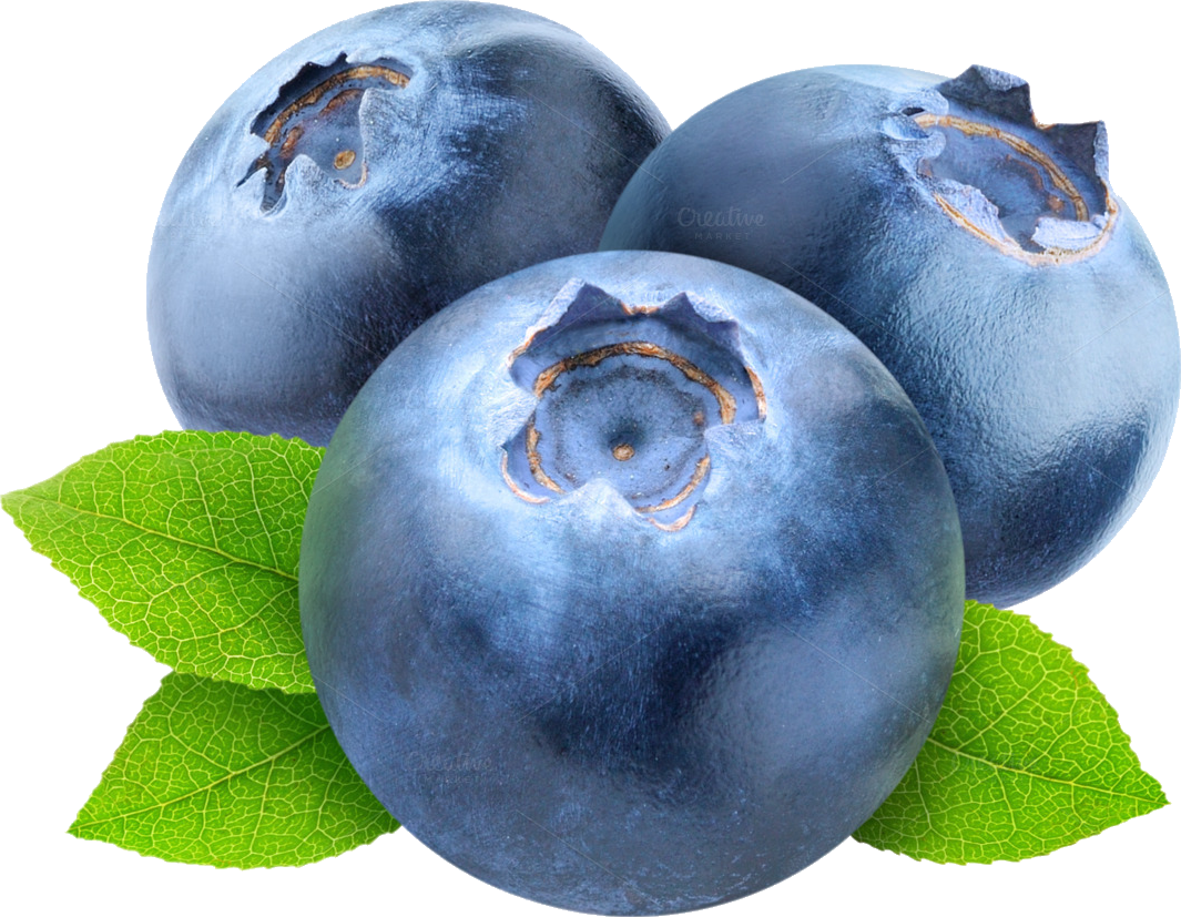 Fresh Blueberrieswith Leaves PNG Image