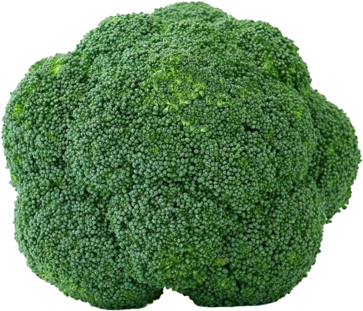 Fresh Broccoli Closeup PNG Image