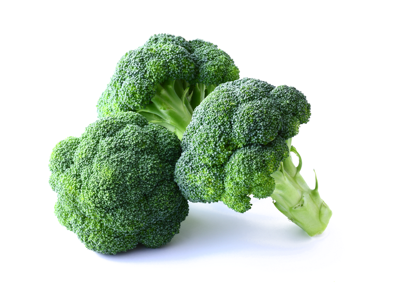 Fresh Broccoli Isolatedon Background PNG Image