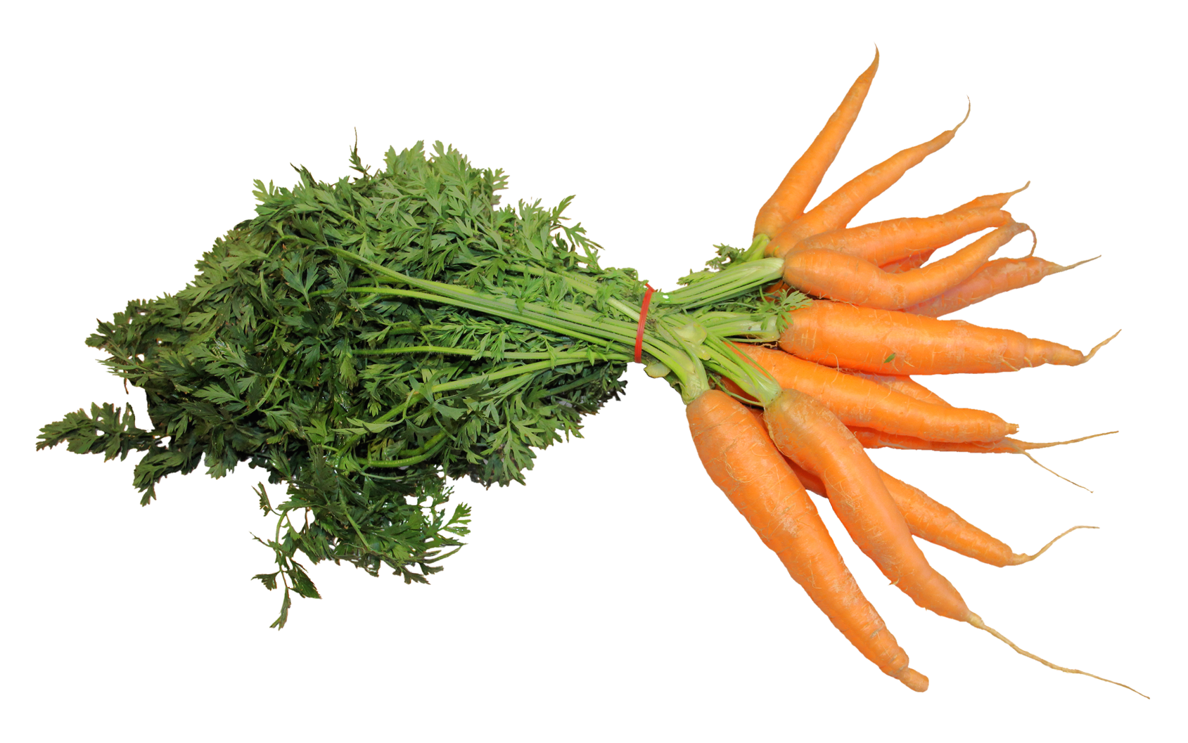 Fresh Bunchof Carrots PNG Image