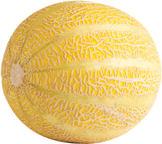 Fresh Cantaloupe Whole Fruit PNG Image