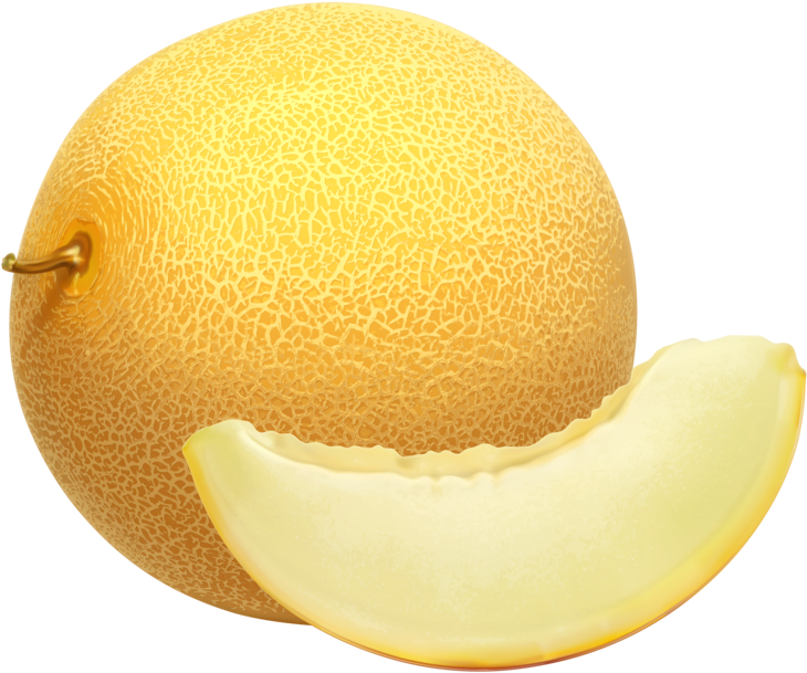 Fresh Cantaloupeand Slice.png PNG Image