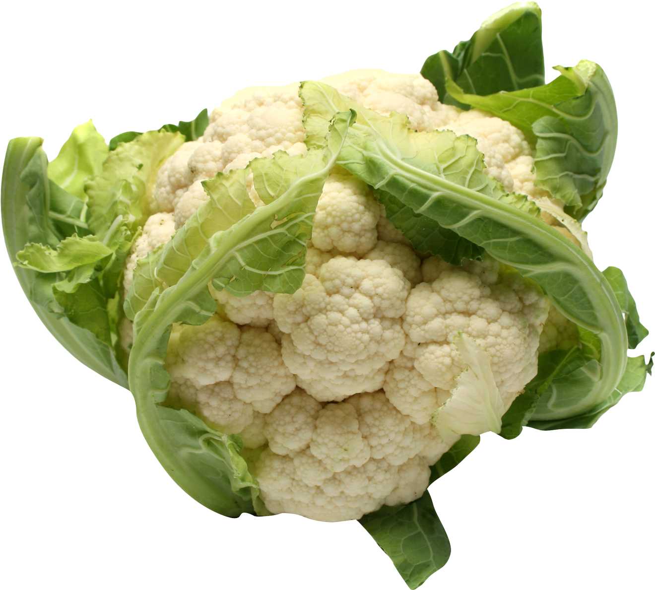 Fresh Cauliflower Isolated.png PNG Image