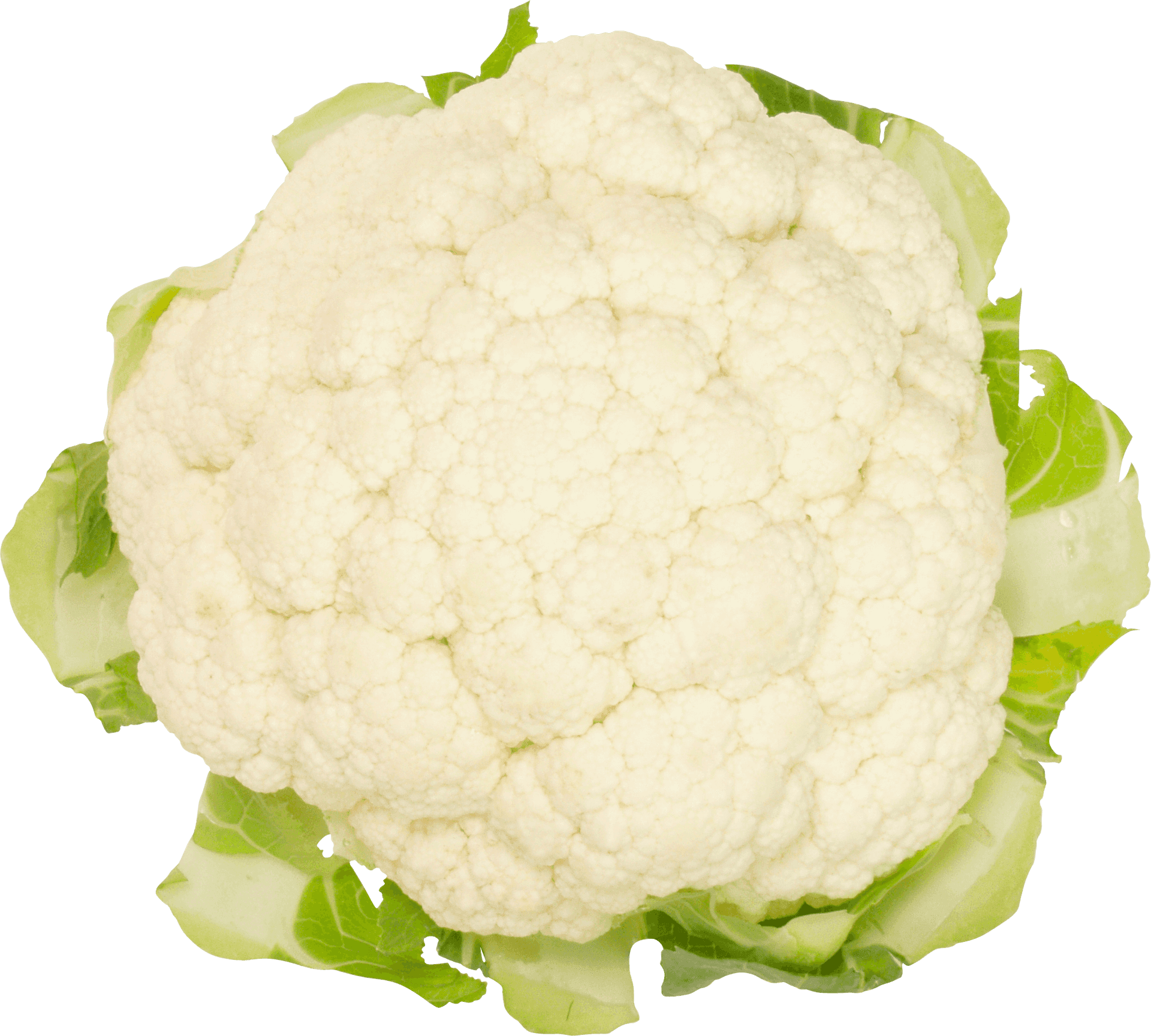 Fresh Cauliflower Isolated.png PNG Image