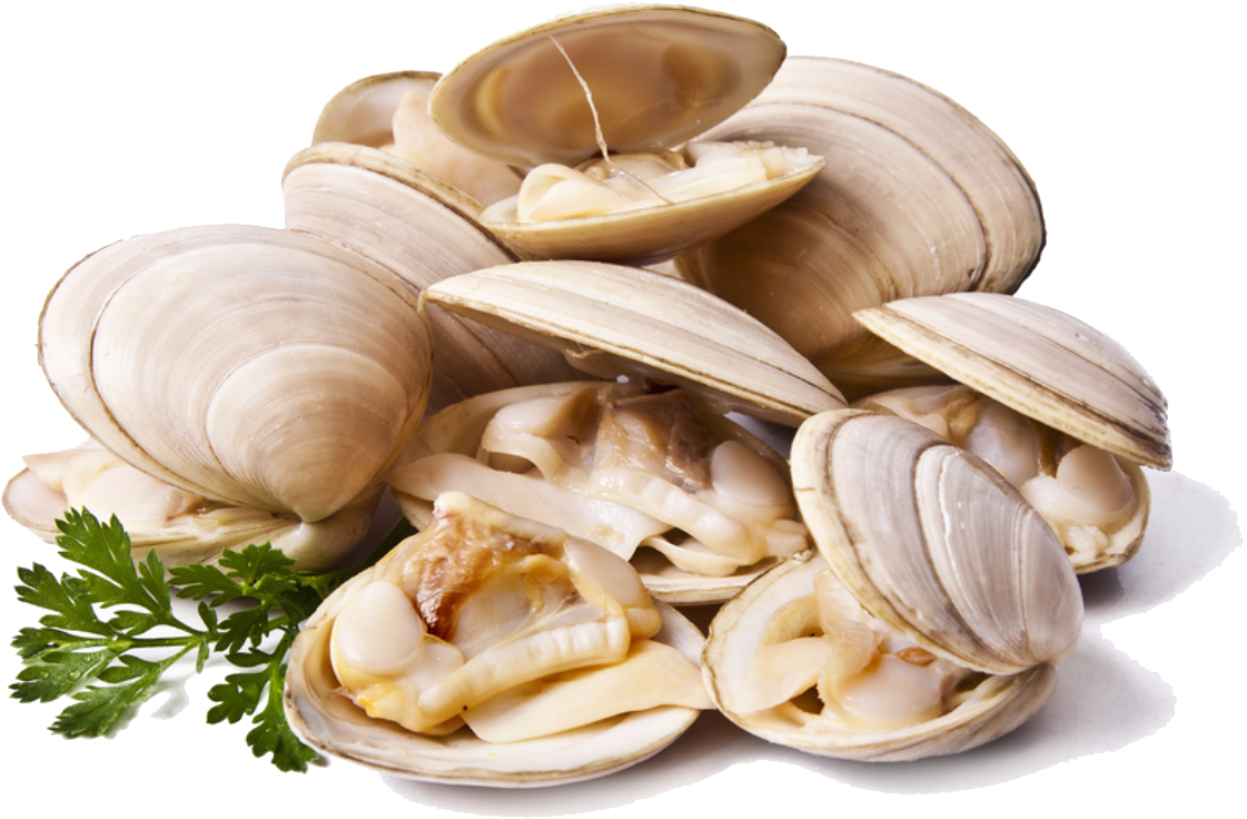 Fresh Clamswith Parsley.png PNG Image