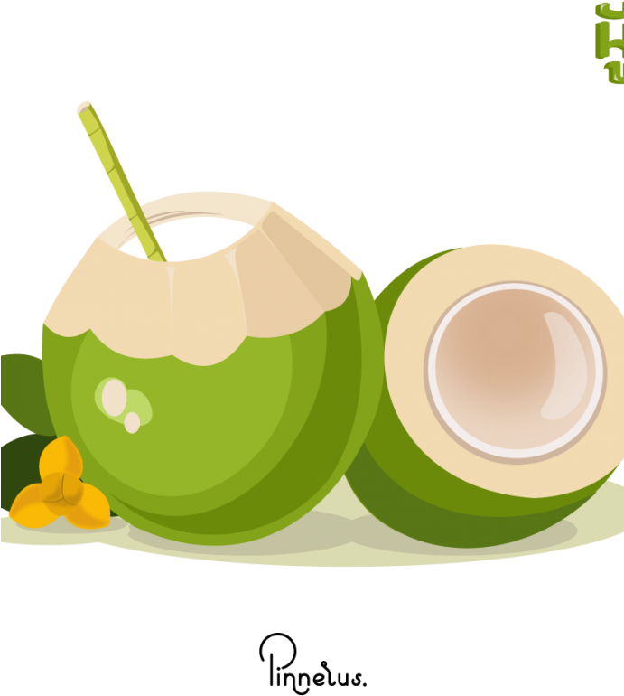 Fresh Coconut Drink Illustration PNG Image