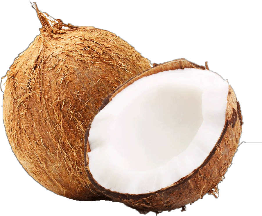 Fresh Coconut Half Transparent Background PNG Image