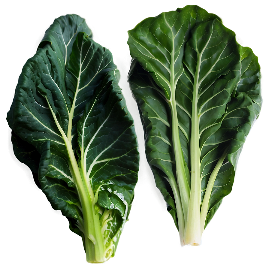 Fresh Collard Greens Png 06252024 PNG Image