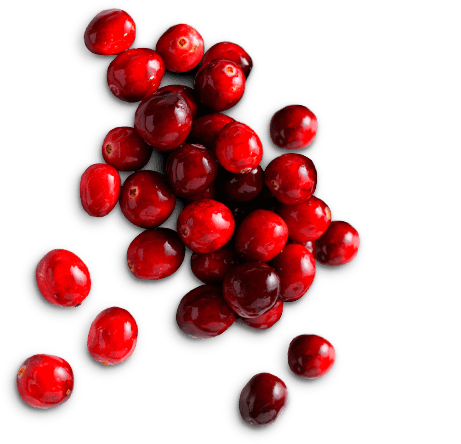 Fresh Cranberries Top View PNG Image