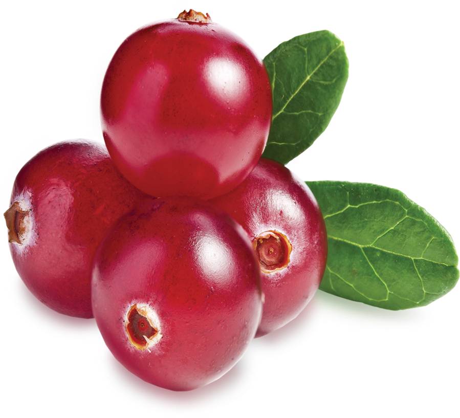 Fresh Cranberrieswith Leaf.png PNG Image