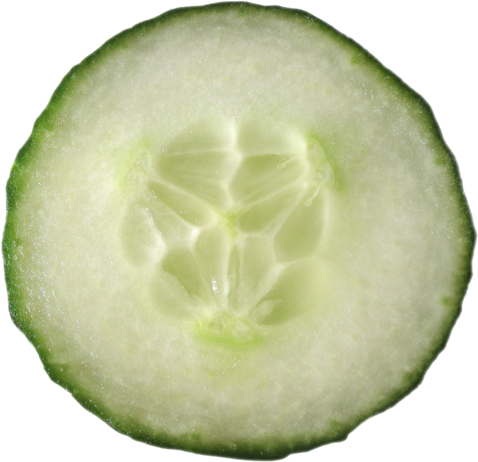 Fresh Cucumber Slice Macro PNG Image