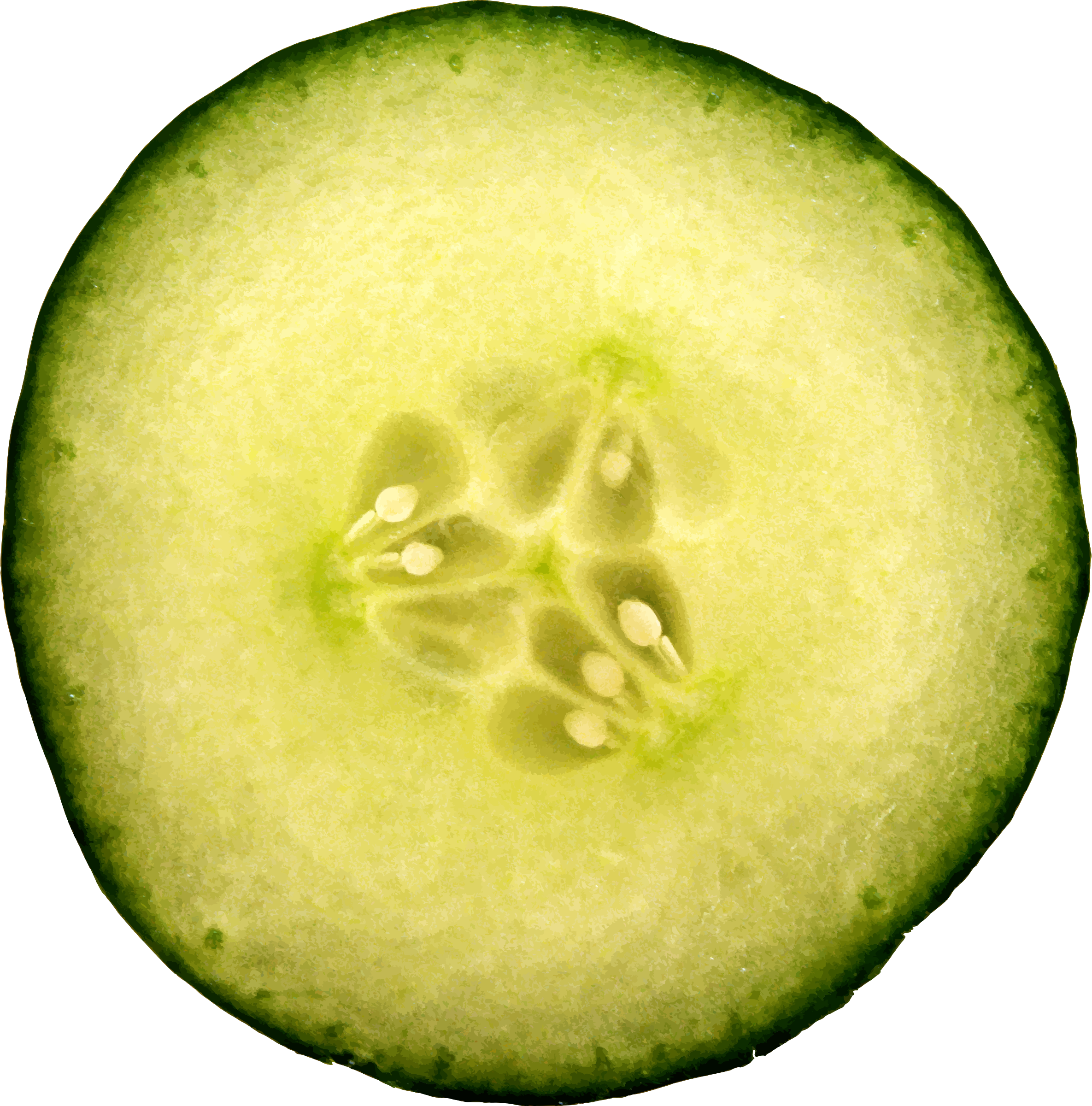 Fresh Cucumber Slice Macro PNG Image