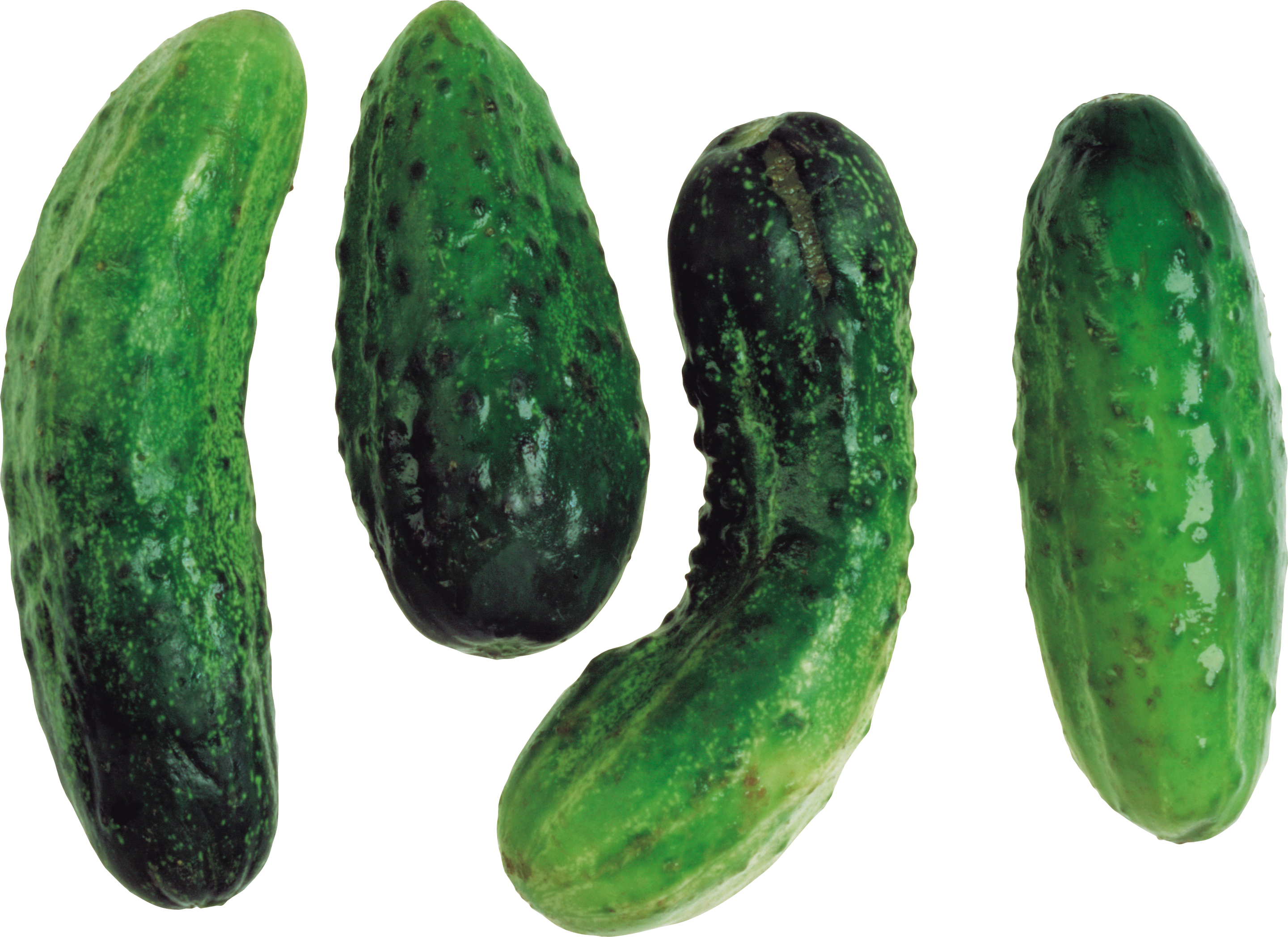 Fresh Cucumbers Isolated PNG Image