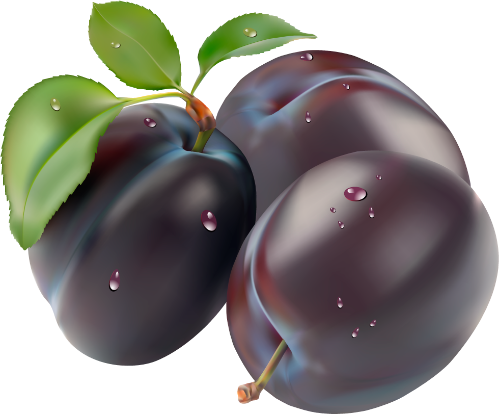 Fresh Dew Kissed Plums PNG Image