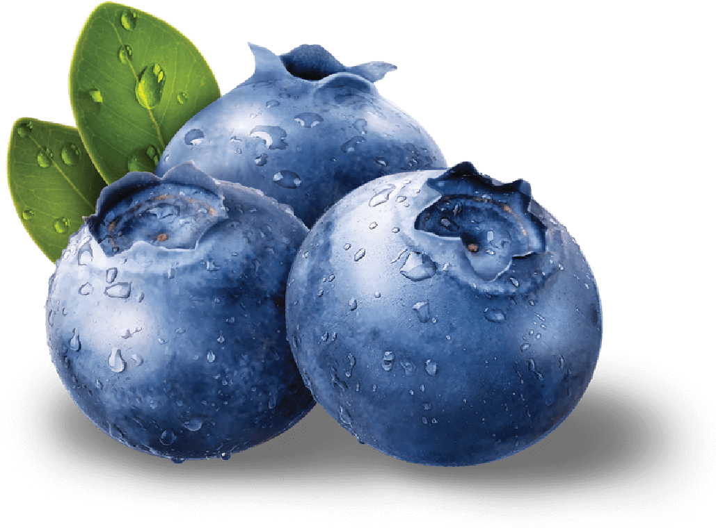 Fresh Dewy Blueberries PNG Image