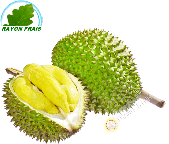 Fresh Durian Fruit Cut Open PNG Image