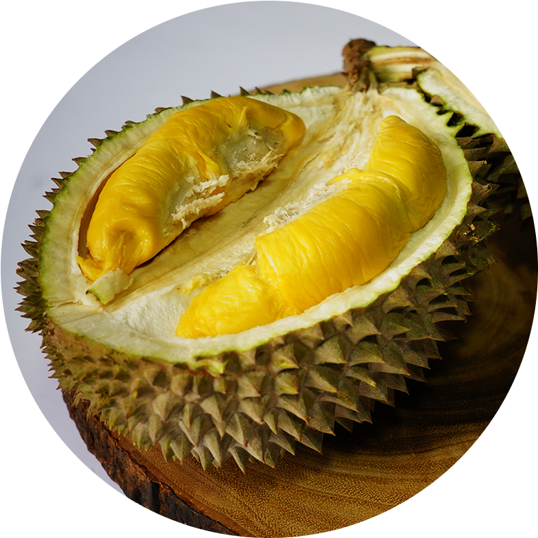 Fresh Durian Fruit Halved PNG Image