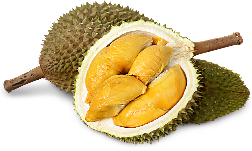 Fresh Durian Fruit Open PNG Image