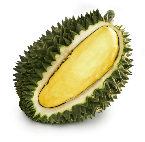 Fresh Durian Fruit Slice.png PNG Image