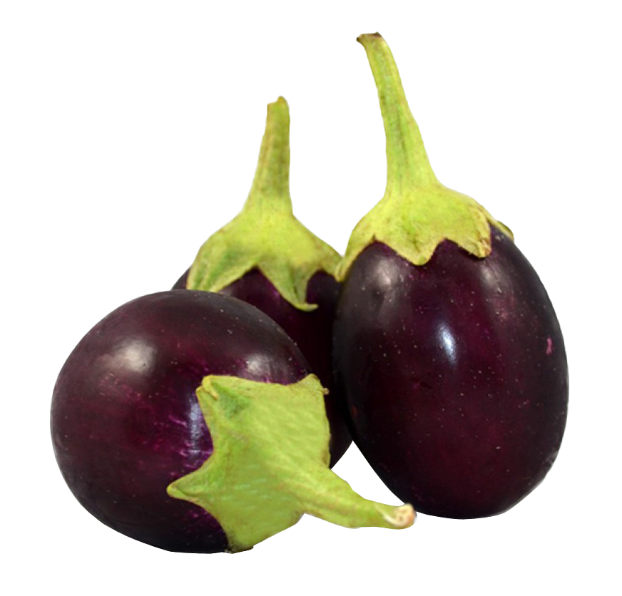 Fresh Eggplantson Neutral Background PNG Image