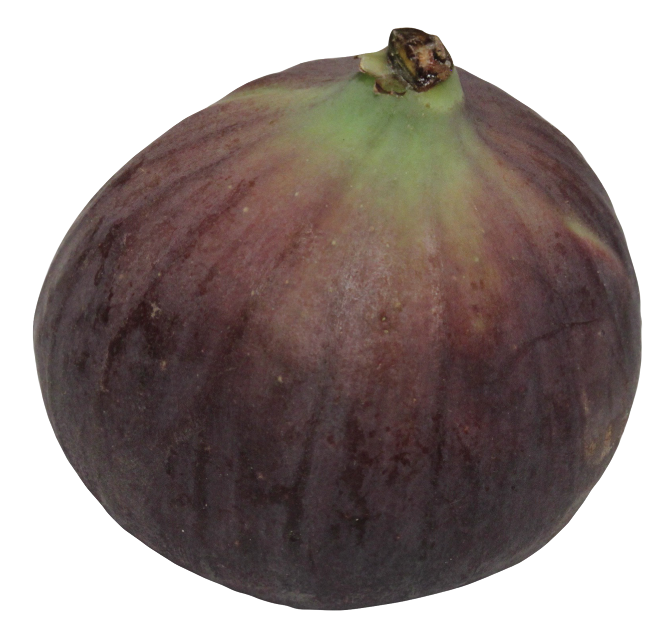 Fresh Fig Fruit Isolated PNG Image